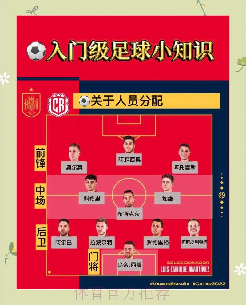 世界杯投注从小白到赢家的蜕变秘籍